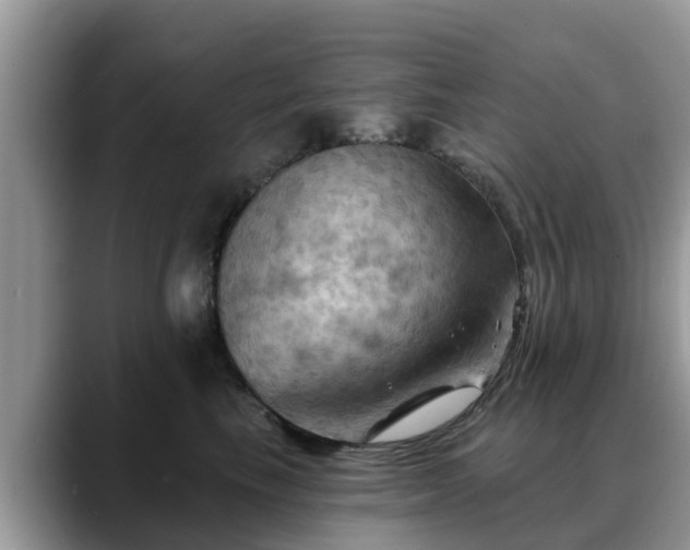 X0000088690665200706071521