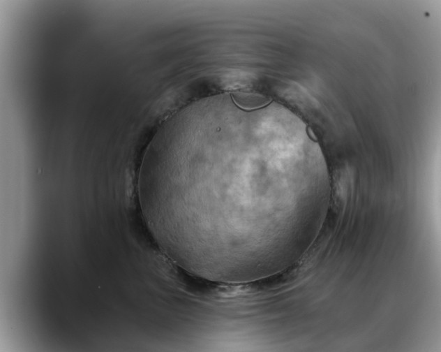 X0000088690667200706071521