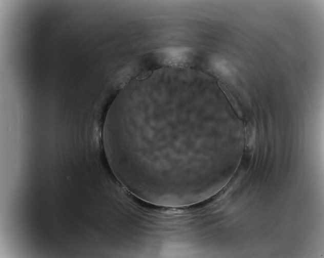 X0000088690669200706071521