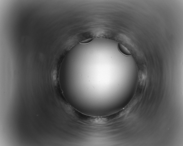 X0000088690670200706071521