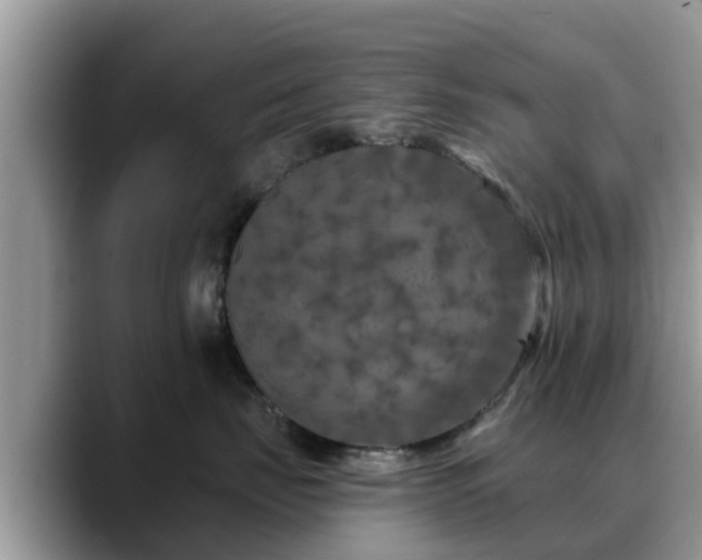 X0000088690671200706071521