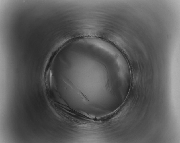 X0000088690674200706071520
