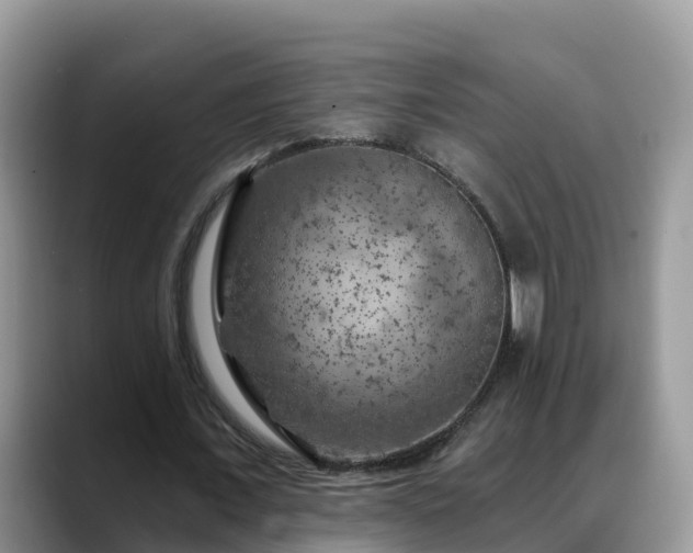 X0000088690675200706071520