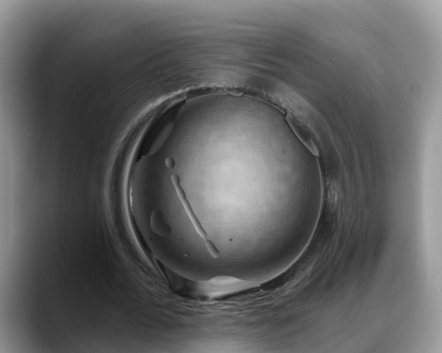 X0000088690676200706071520