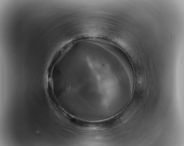X0000088690678200706071520