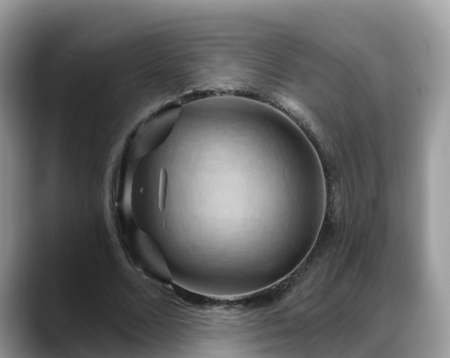 X0000088690680200706071520