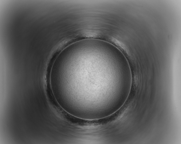 X0000088690682200706071520