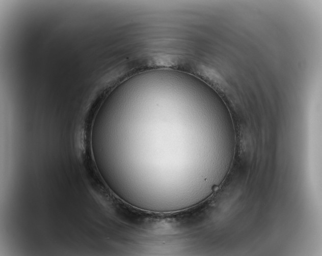 X0000088690683200706071520