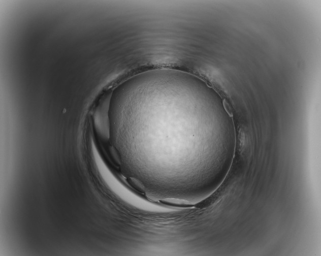 X0000088690684200706071520