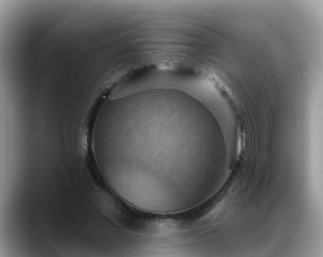 X0000088690685200706071520
