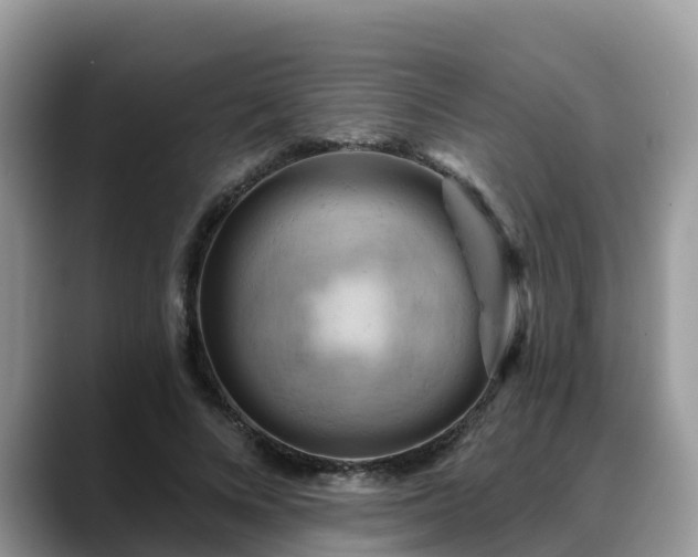 X0000088690688200706071520