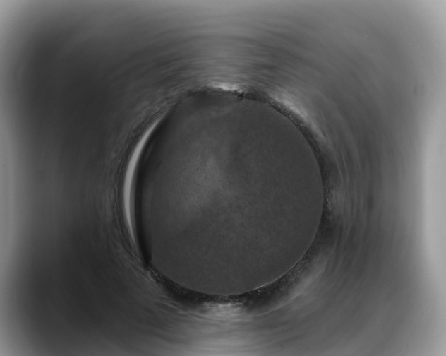 X0000088690689200706071520