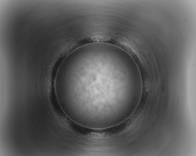 X0000088690690200706071520
