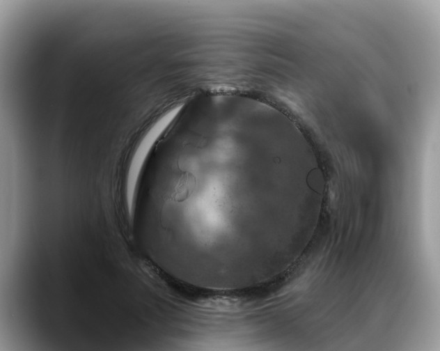 X0000088690691200706071520