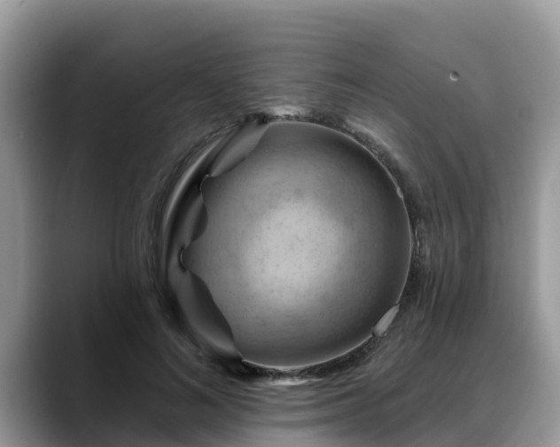 X0000088690692200706071520