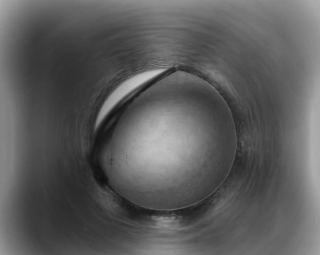X0000088690693200706071520