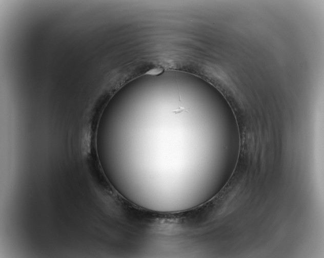 X0000088690694200706071520