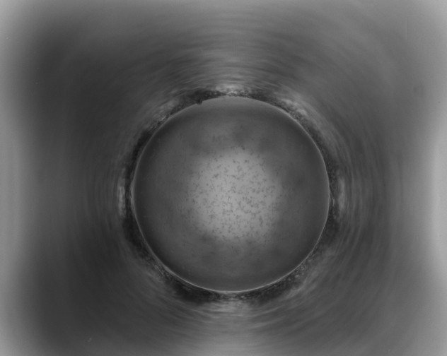 X0000088690696200706071520