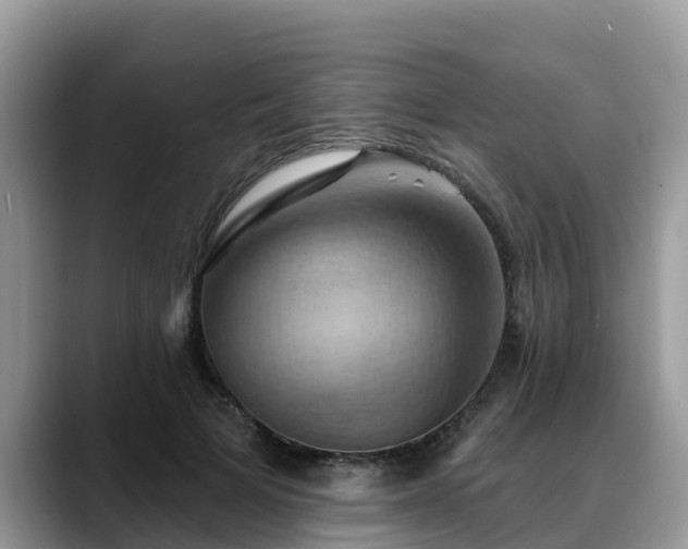 X0000088690697200706071520
