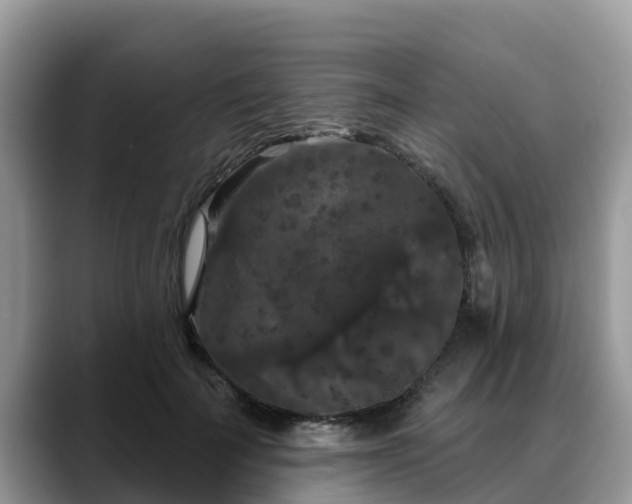 X0000088690699200706071520