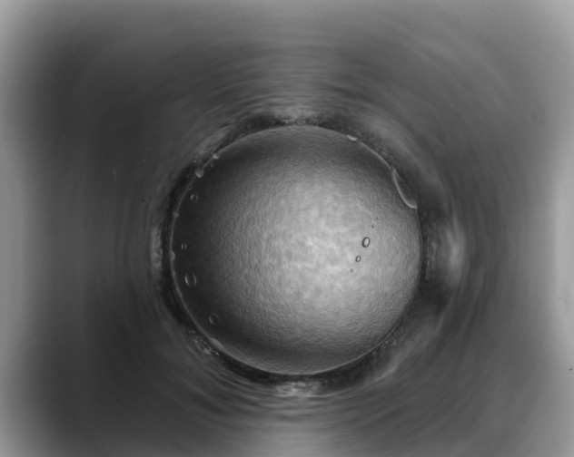 X0000088690700200706071520