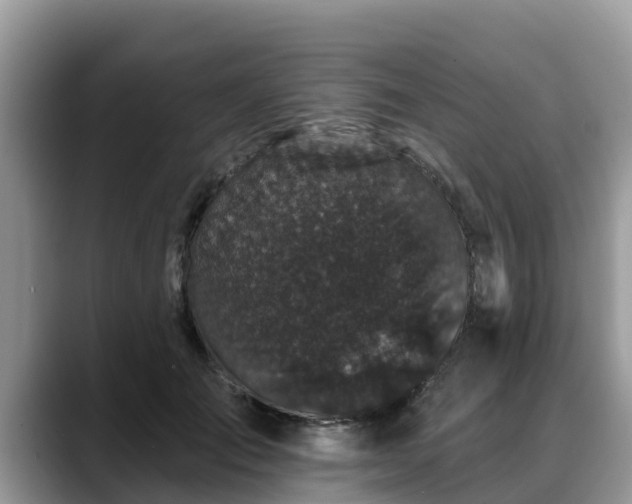 X0000088690701200706071520