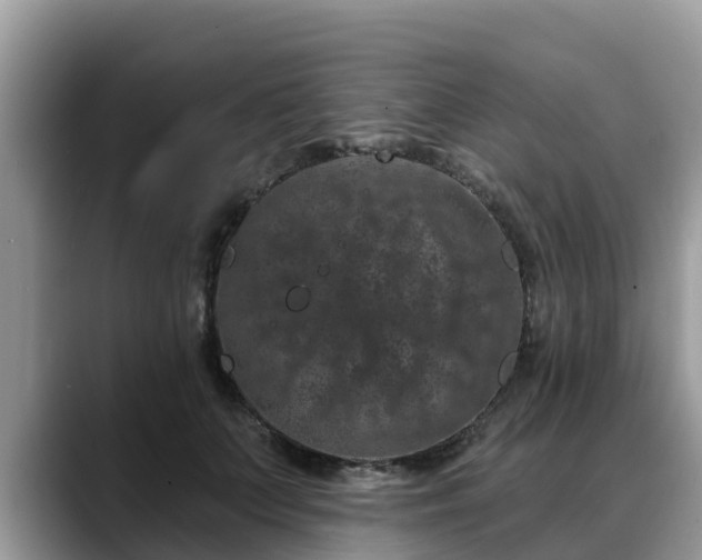 X0000088690703200706071520
