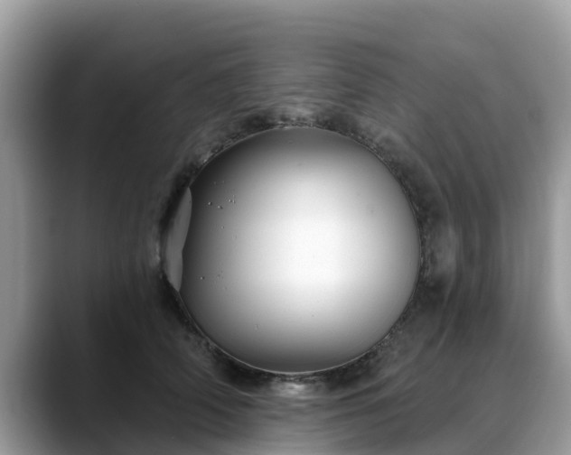 X0000088690706200706071520