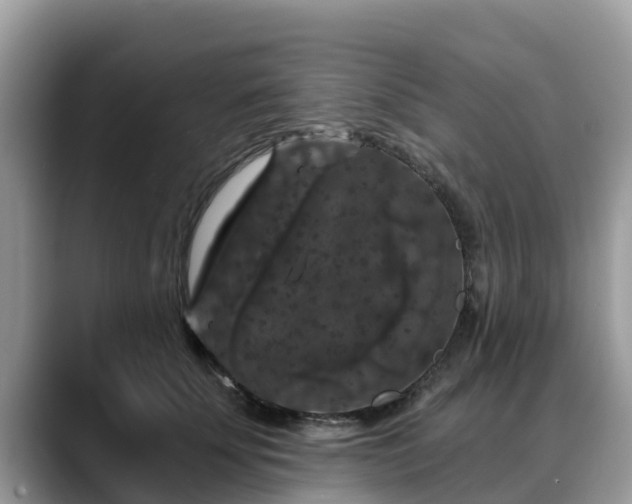 X0000088690707200706071520