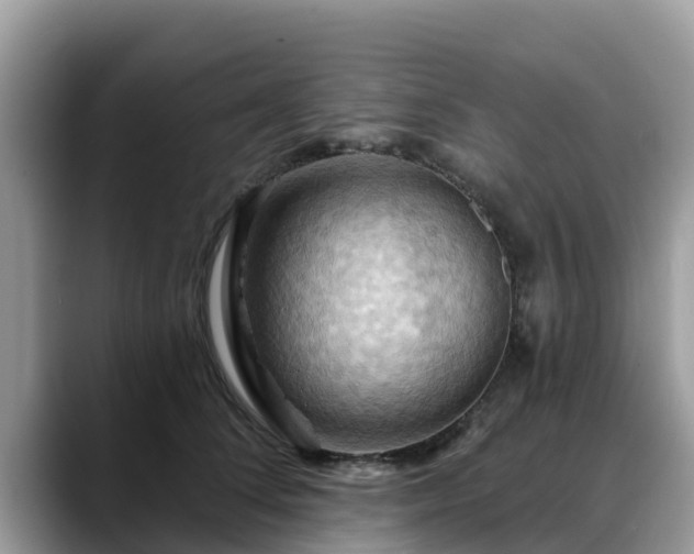 X0000088690708200706071520