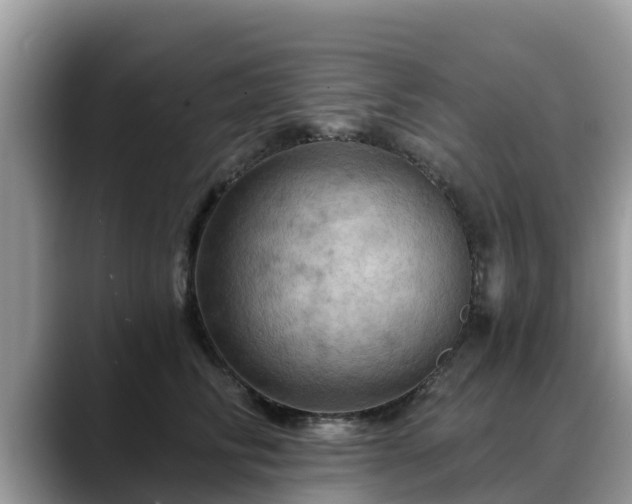 X0000088690710200706071520