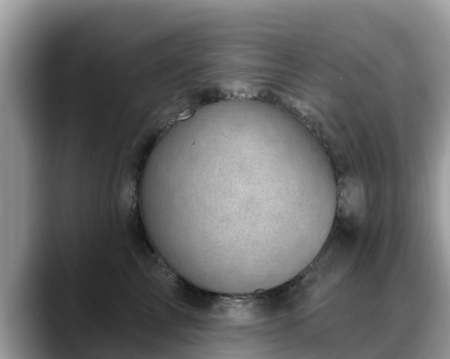 X0000088690713200706071520