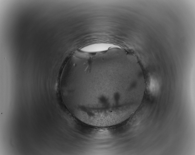 X0000088690715200706071520