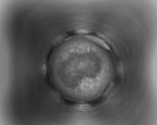 X0000088690716200706071520
