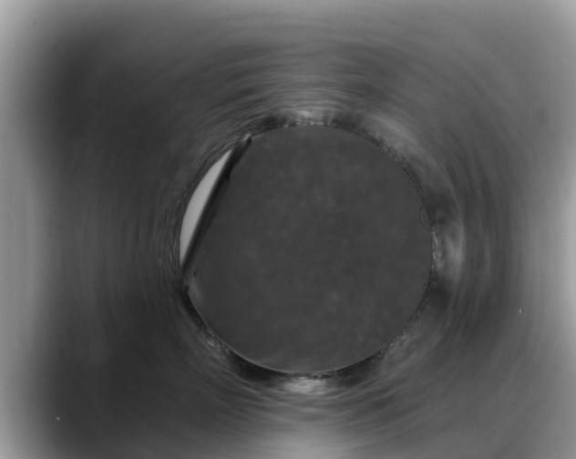 X0000088690718200706071520