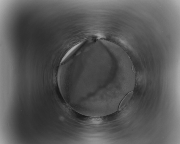 X0000088690719200706071520