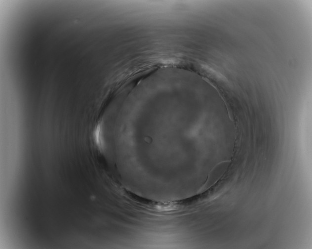 X0000088690720200706071519