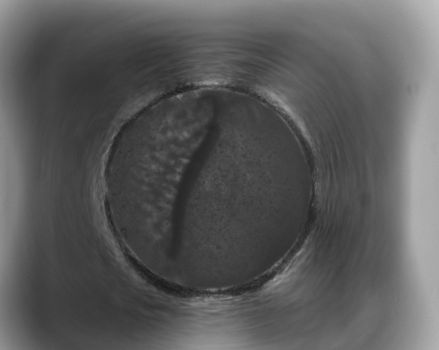 X0000088690721200706071519