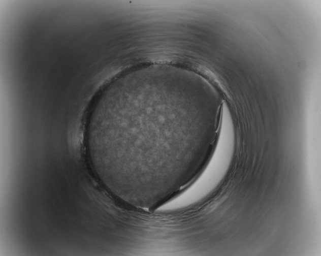 X0000088690723200706071519
