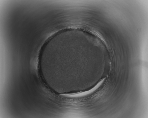 X0000088690724200706071519