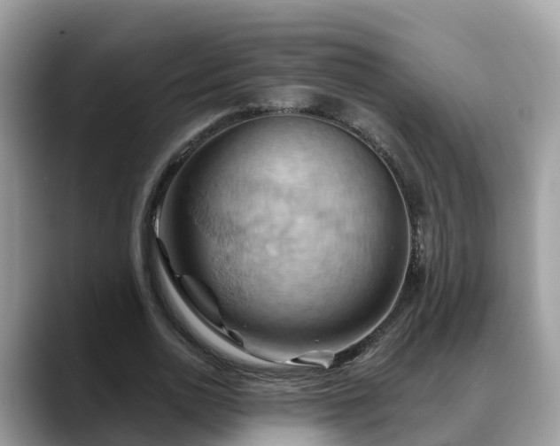 X0000088690726200706071519