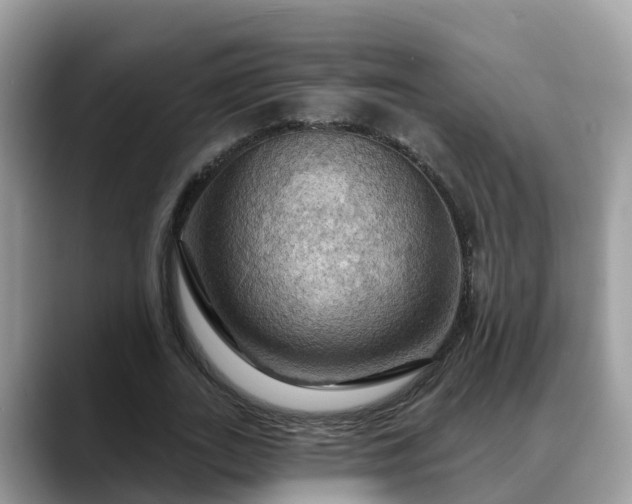 X0000088690727200706071519
