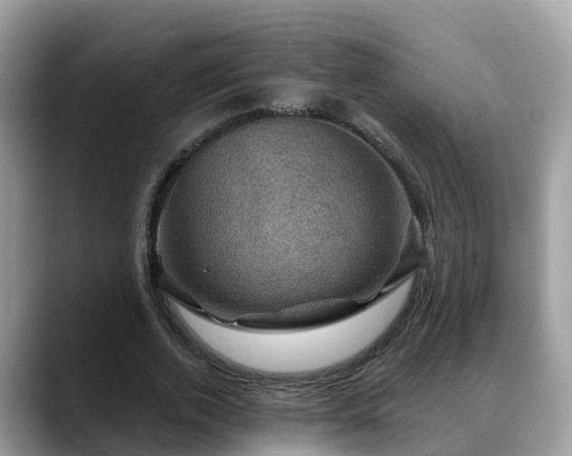 X0000088690728200706071519