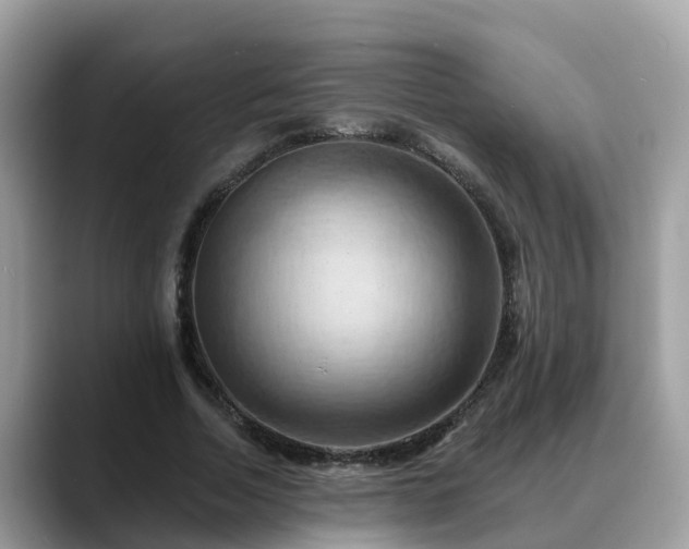 X0000088690730200706071519