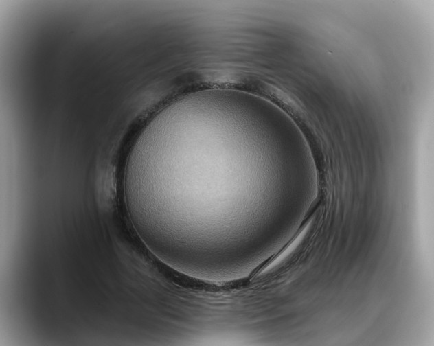 X0000088690731200706071519