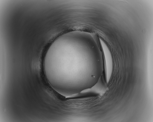 X0000088690732200706071519