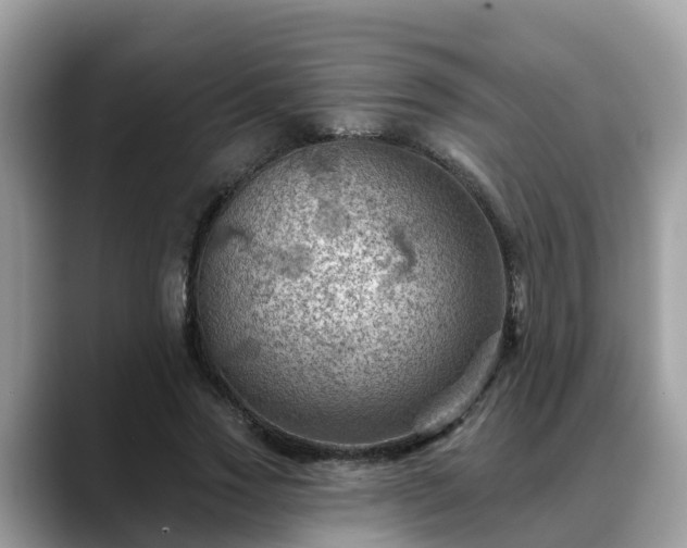 X0000088690733200706071519