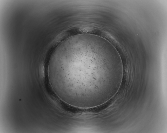 X0000088690734200706071519
