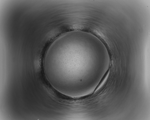 X0000088690735200706071519