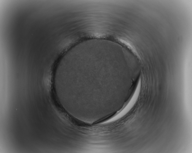 X0000088690736200706071519